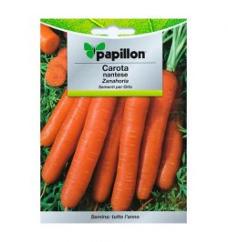 Semillas Zanahoria Nantes Temprana (7 Gramos)
