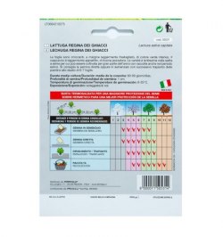 Semillas Lechuga Reina Del Hielo (7 gramos)