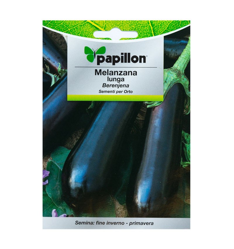 Semillas Berenjena Larga Morada (1.5 gramos)
