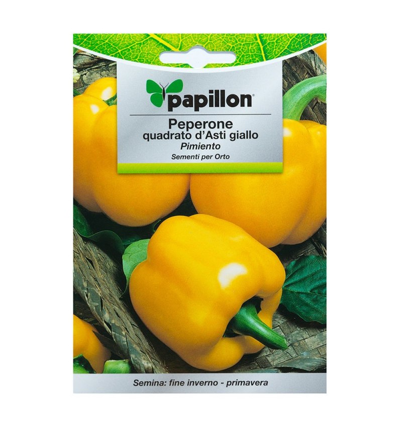 Semillas Pimiento Amarillo Cuadrado (1.5 gramos)