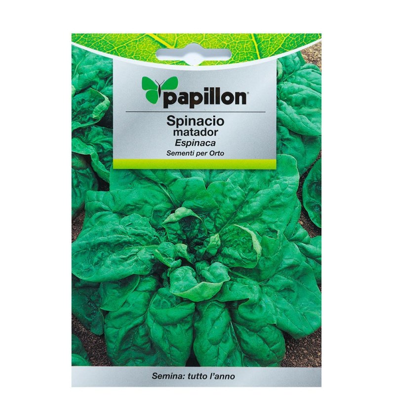 Semillas Espinaca Temprana (8 gramos)