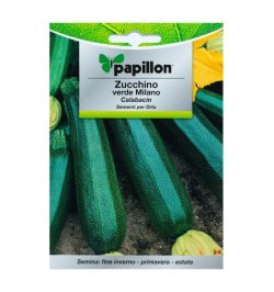 Semillas Calabacin Verde Oscuro (5 gramos)