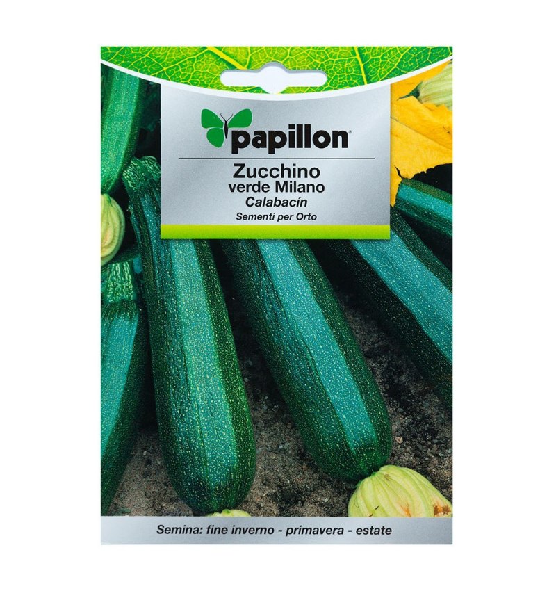 Semillas Calabacin Verde Oscuro (5 gramos)