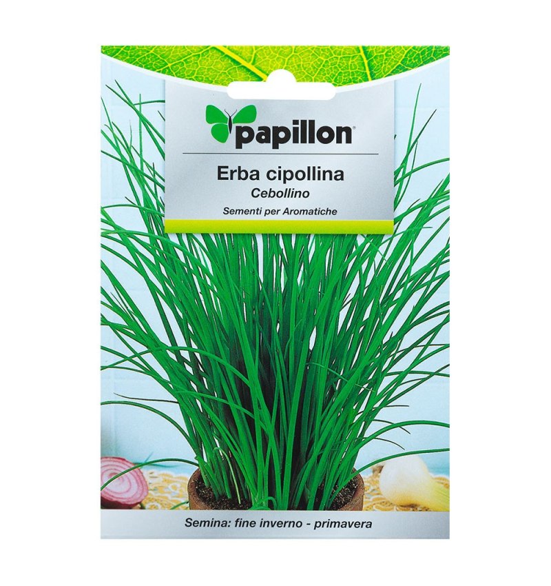 Semillas Aromaticas Cebollino (1 gramo)