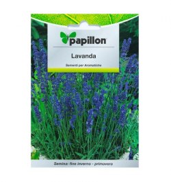 Semillas Aromaticas Lavanda (0.5 gramos)