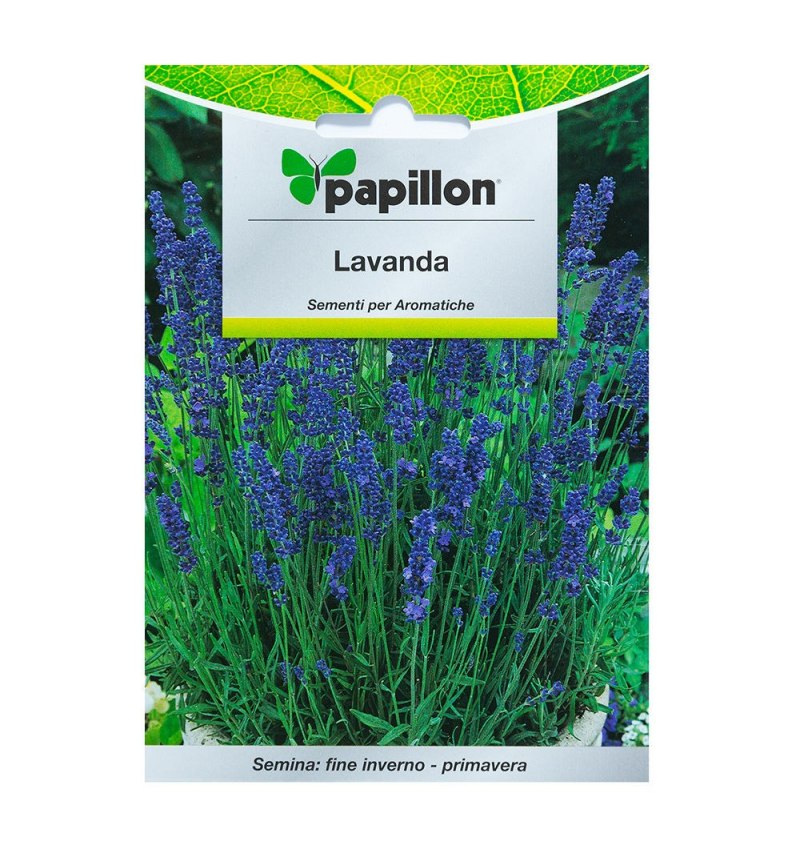 Semillas Aromaticas Lavanda (0.5 gramos)