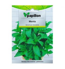 Semillas Aromaticas Menta (0.3 gramos)