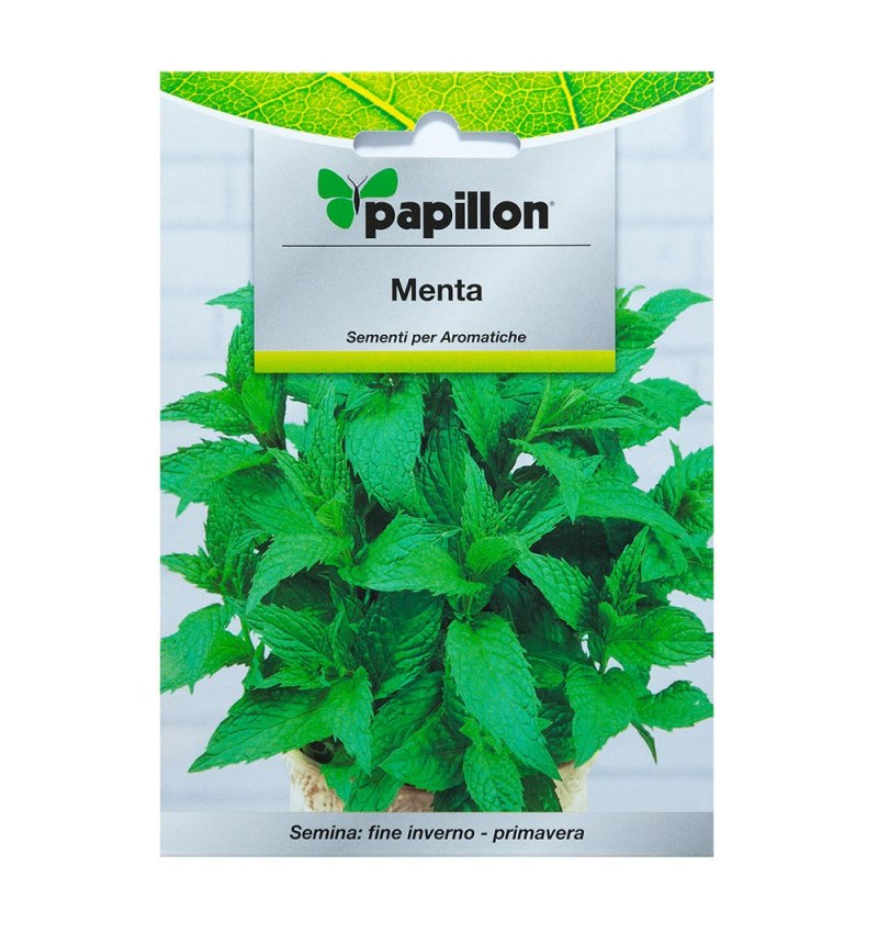 Semillas Aromaticas Menta (0.3 gramos)
