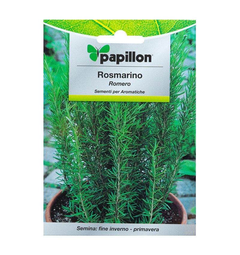 Semillas Aromaticas Romero (0.1 gramos)