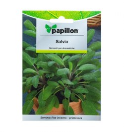 Semillas Aromaticas Salvia (1 gramo)