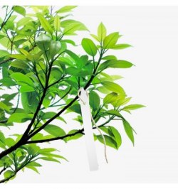 Etiqueta Marcadora Plástico Para Plantas Bolsa 250 Unidades