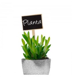 Etiqueta Marcadora Madera Con Efecto Pizarra Para Plantas Bolsa 10 Unidades