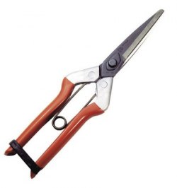Tijeras Recolectar Ajos  1 Mano  P-1702   210 mm.