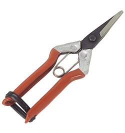 Tijeras Recolectar Uvas  1 Mano  P 1552   180 mm.