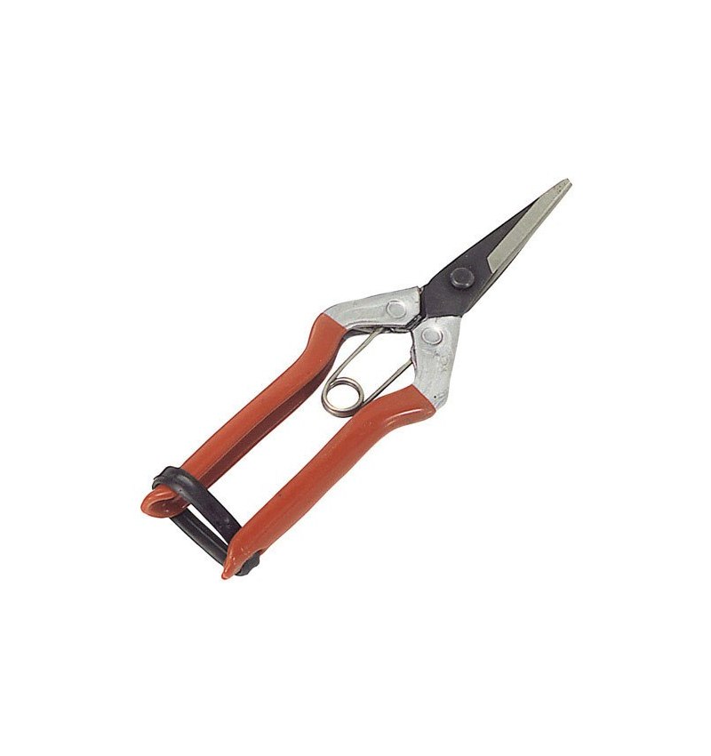 Tijeras Recolectar Uvas  1 Mano  P 1552   180 mm.