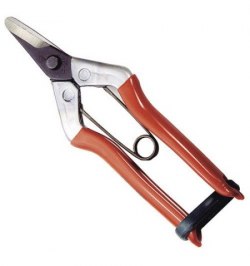 Tijeras Recolectar Naranjas  1 Mano P 1202  155 mm.