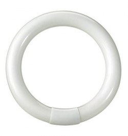 Tubo Fluorescente Circular Trifósforo T9 22 W. 216 mm.