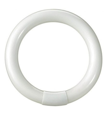 Tubo Fluorescente Circular Trifósforo T9 32 W. 311 mm.