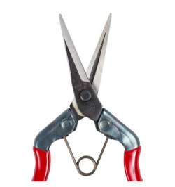 Tijeras Chikamasa Recolectora  T 552  185 mm.