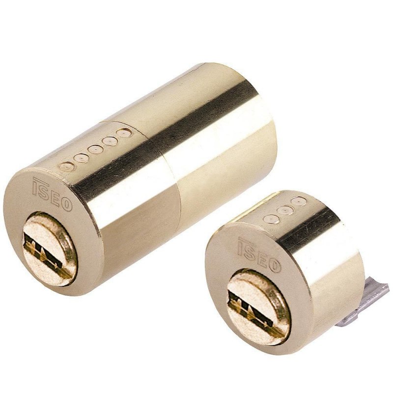 Cilindro Iseo R6 Seguridad Para Cerradura 500