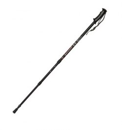Baston Bordon Caminar Extensible 0,65-1,35 metros Negro